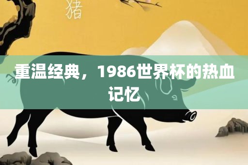 重温经典，1986世界杯的热血记忆