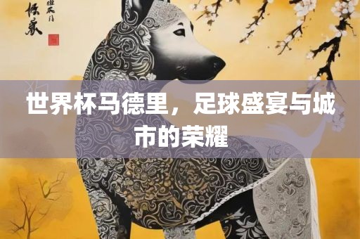 世界杯马德里，足球盛宴与城市的荣耀洛阳市法福文化传播有限公司