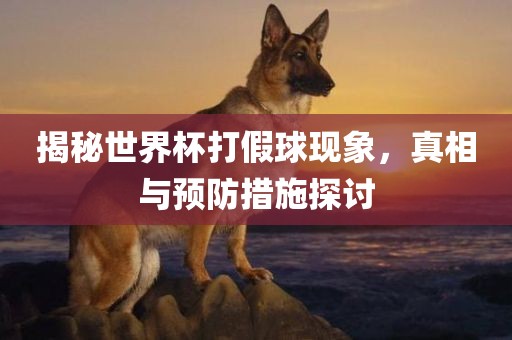 揭秘世界杯打假球现象，真相与预防措施探讨洛阳市法福文化传播有限公司