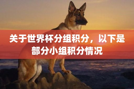 关于世界杯分组积分，以下是部分小组积分情况洛阳市法福文化传播有限公司
