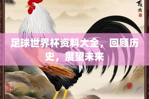 足球世界杯资料大全，回顾历史，展望未来