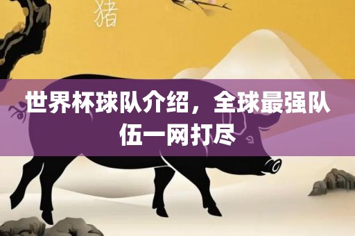 世界杯球队介绍，全球最强队伍一网打尽洛阳市法福文化传播有限公司