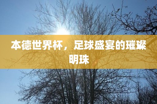 足球盛宴