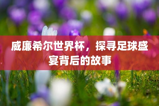 威廉希尔世界杯，探寻足球盛宴背后的故事