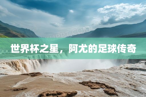 世界杯之星，阿尤的足球传奇
