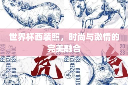 世界杯西装照，时尚与激情的完美融合
