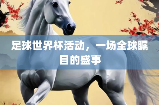 足球世界杯活动，一场全球瞩目的盛事