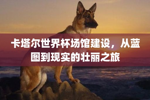 卡塔尔世界杯场馆建设，从蓝图到现实的壮丽之旅