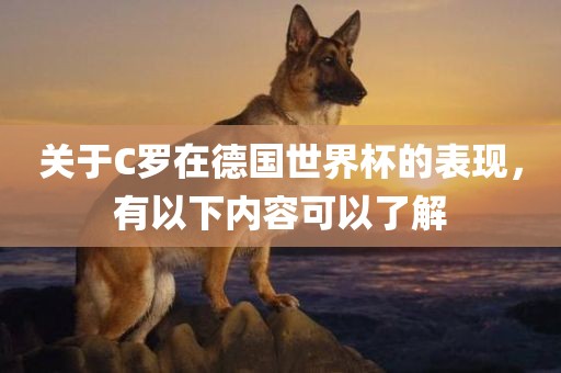 关于C罗在德国世界杯的表现，有以下内容可以了解
