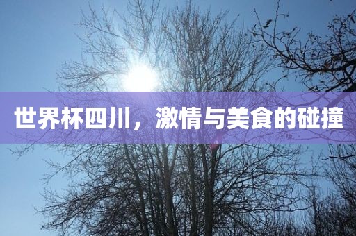 世界杯四川，激情与美食的碰撞