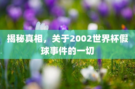 揭秘真相，关于2002世界杯假球事件的一切