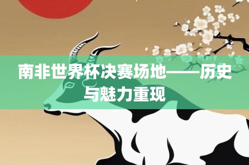 南非世界杯决赛场地——历史与魅力重现