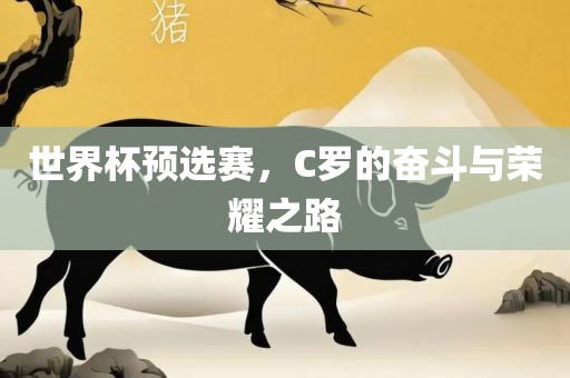 世界杯预选赛，C罗的奋斗与荣耀之路