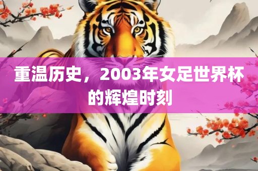 重温历史，2003年女足世界杯的辉煌时刻