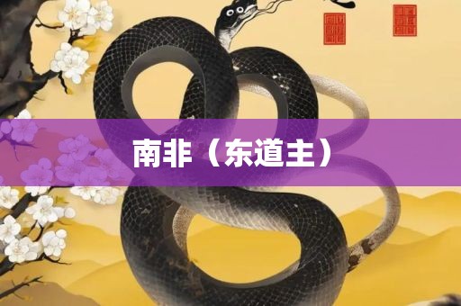 南非（东道主洛阳市法福文化传播有限公司）