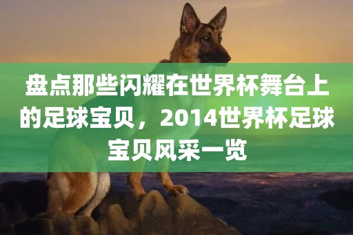 盘点那些闪耀在世界杯舞台上的足球宝贝，2014世界杯足球宝贝风采一览