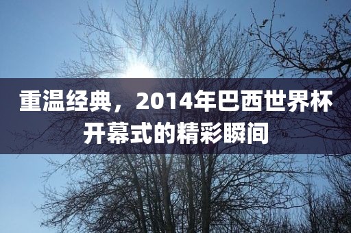重温经典，2014年巴西世界杯开幕式的精彩瞬间