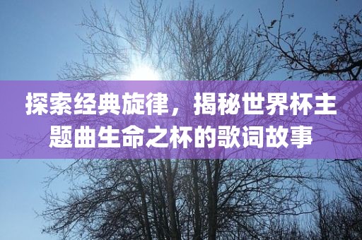 探索经典旋律，揭秘世界杯主题曲生命之杯的歌词故事