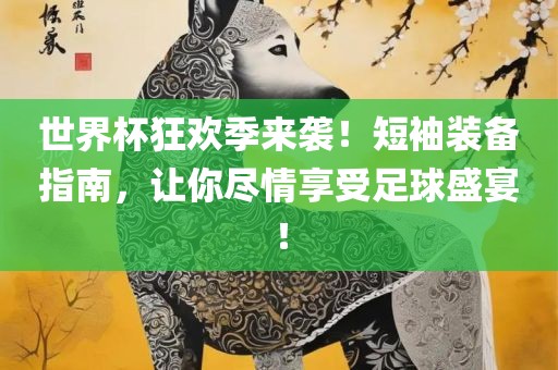 世界杯狂欢季来袭！短袖装备指南，让你尽情享受足球盛宴！