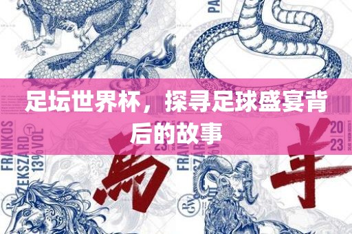 足坛世界杯，探寻足球盛宴背后的故事