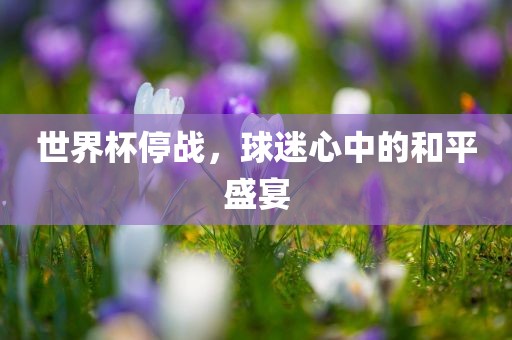 世界杯停战，球迷心中的和平盛宴