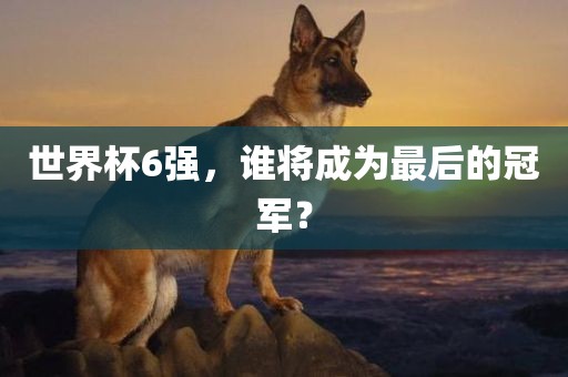 世界杯6强，谁将成为最后的冠军？