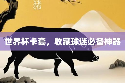 世界杯卡套洛阳市法福文化传播有限公司，收藏球迷必备神器