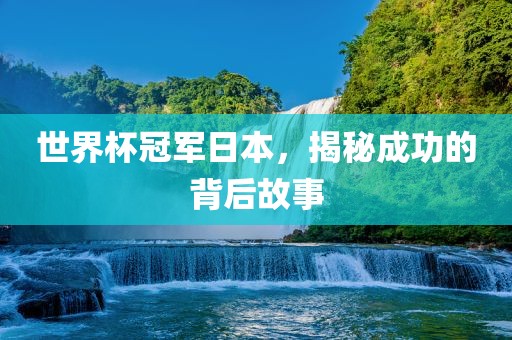 世界杯冠军日本，揭秘成功的背后故事