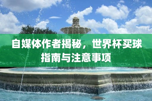 自媒体作者揭秘，世界杯买球指南与注意事项