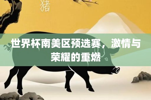 世界杯南美区预选赛，激情与荣耀的重燃