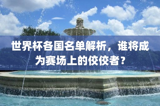 世界杯各国名单解析，谁将成为赛场上的佼佼者？
