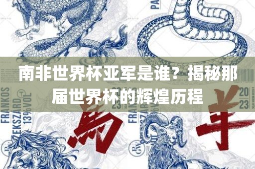 南非世界杯亚军是谁？揭秘那届世界杯的辉煌历程