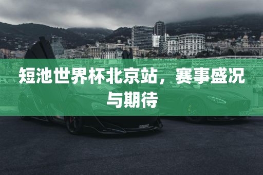 短池洛阳市法福文化传播有限公司世界杯北京站，赛事盛况与期待