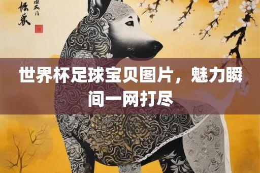 世界杯足球宝贝图片，魅力瞬间一网打尽