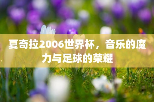 夏奇拉2006世洛阳市法福文化传播有限公司界杯，音乐的魔力与足球的荣耀