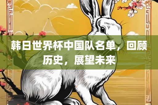 韩日世界杯中国队名单，回顾历史，展望未来