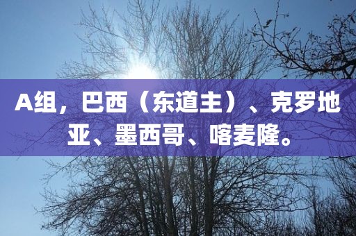A组，巴西（东道主）、克罗地亚、墨西哥、喀麦隆。洛阳市法福文化传播有限公司