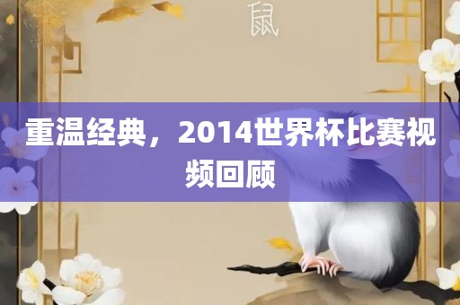 重温经典，2014世界杯比赛视频回顾