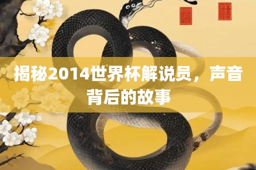 揭秘2014世界杯解说员，声音背后的故事