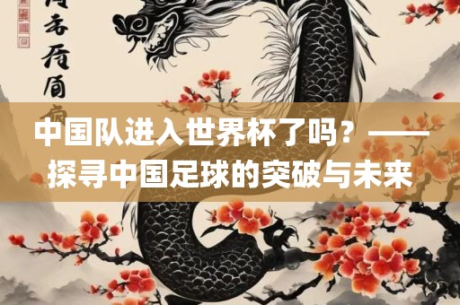 中国队进入世界杯了吗？——探寻中国足球的突破与未来洛阳市法福文化传播有限公司