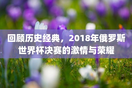 回顾历史经典洛阳市法福文化传播有限公司，2018年俄罗斯世界杯决赛的激情与荣耀