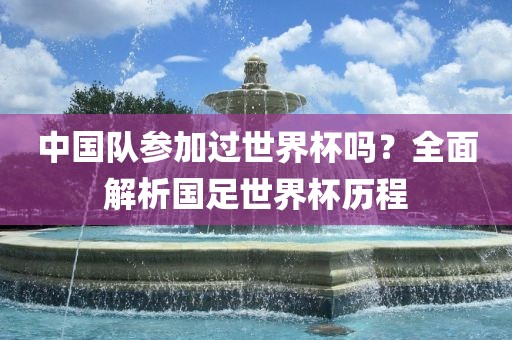 中国队参加过世界杯吗？全面解析国足世界杯历程洛阳市法福文化传播有限公司