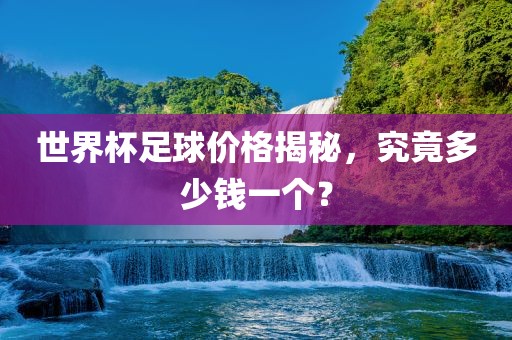 世界杯足球价格揭秘，究竟多少钱一个？