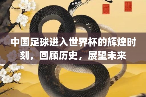 中国足球进入世界杯的辉煌时刻，回顾历史，展望未来