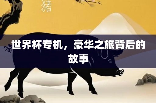 世界杯专机，豪华之旅背后的故事