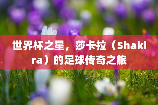 世界杯之星，莎卡拉（Shakira）的足球传奇之旅