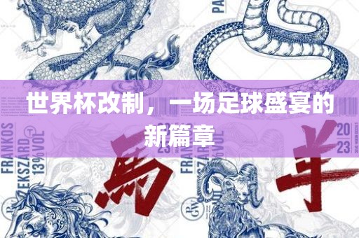 世界杯改制，一场足球盛宴的新篇章