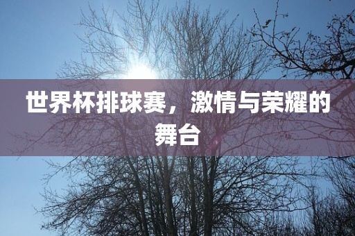 世界杯排球赛，激情与荣耀的舞台