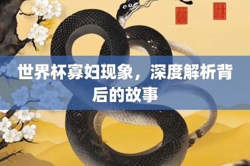 世界杯寡妇现象，深度解析背后的故事