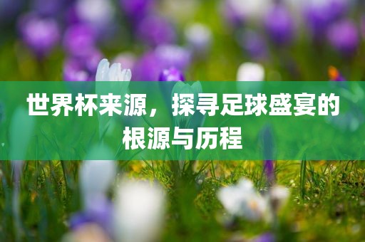 lulan 第2页